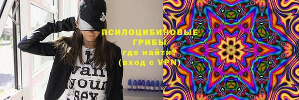 амф Алексин