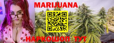 сатива Ставрополь