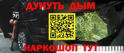 сатива Ставрополь