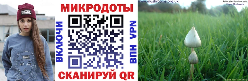 Галлюциногенные грибы GOLDEN TEACHER  Сорочинск 