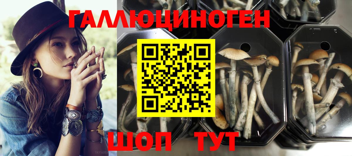 Псилоцибиновые грибы мухоморы Сорочинск